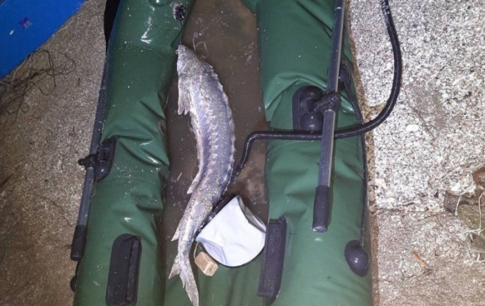    ПУ ФСБ России по Краснодарскому краю