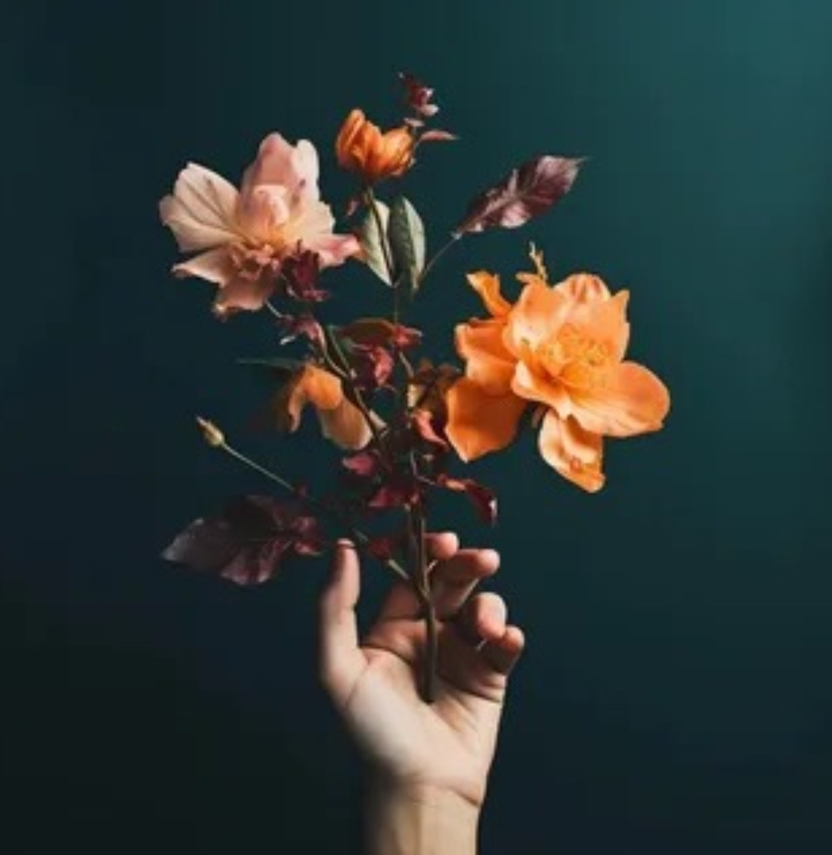 Фото из Интернета 