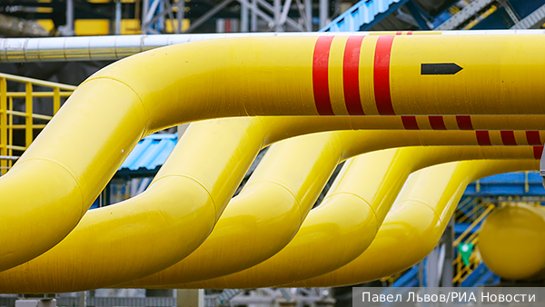     Фото: Павел Львов/РИА Новости   
 Текст: Тимур Шайдуллин