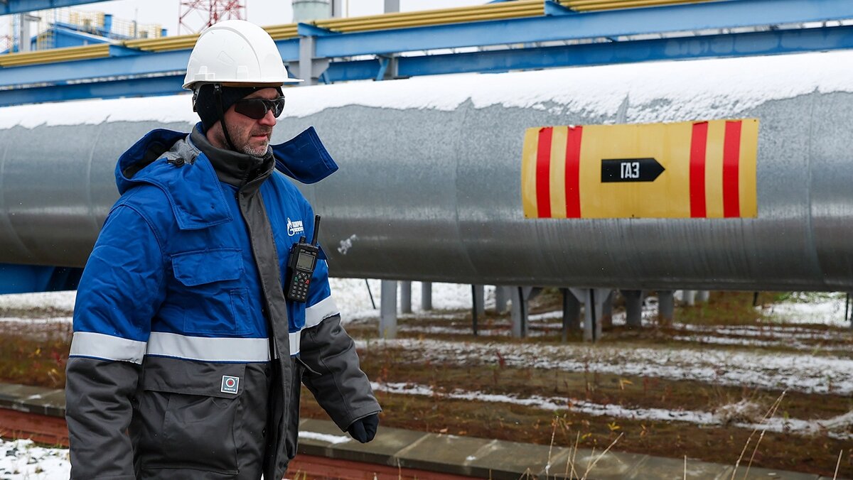   Донат Сорокин / ТАСС- Архивное фото