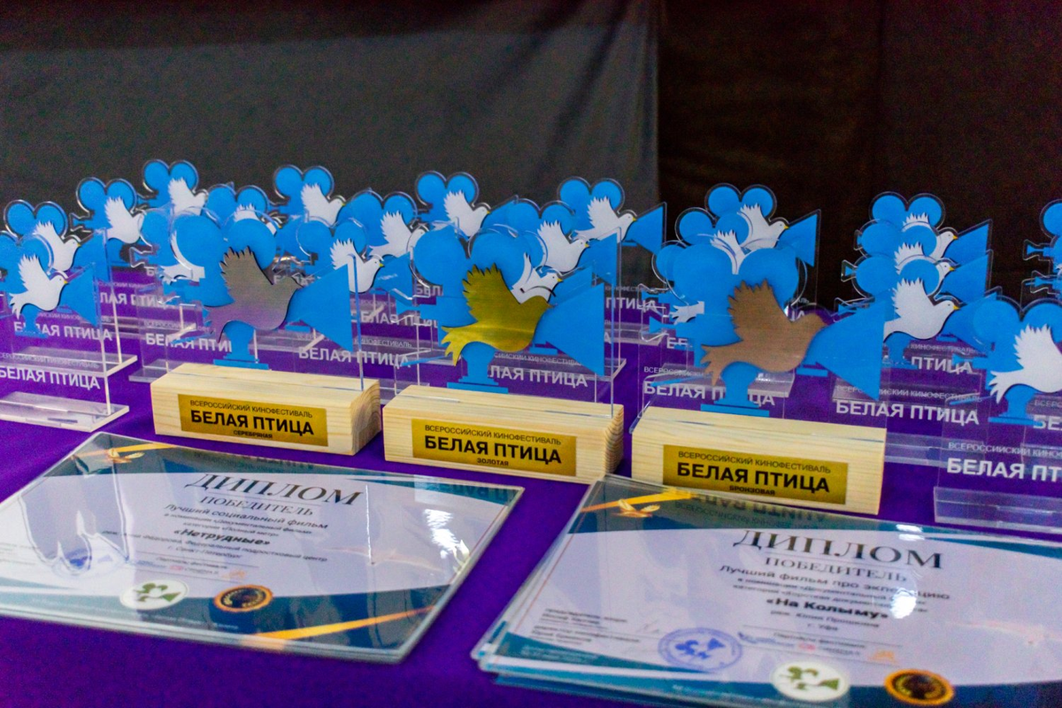 Награды Всероссийского кинофестиваля «Белая птица»: призы и дипломы победителям в различных номинациях, главный российский фестиваль короткометражного кино, (источник: нашифестивали.рф)