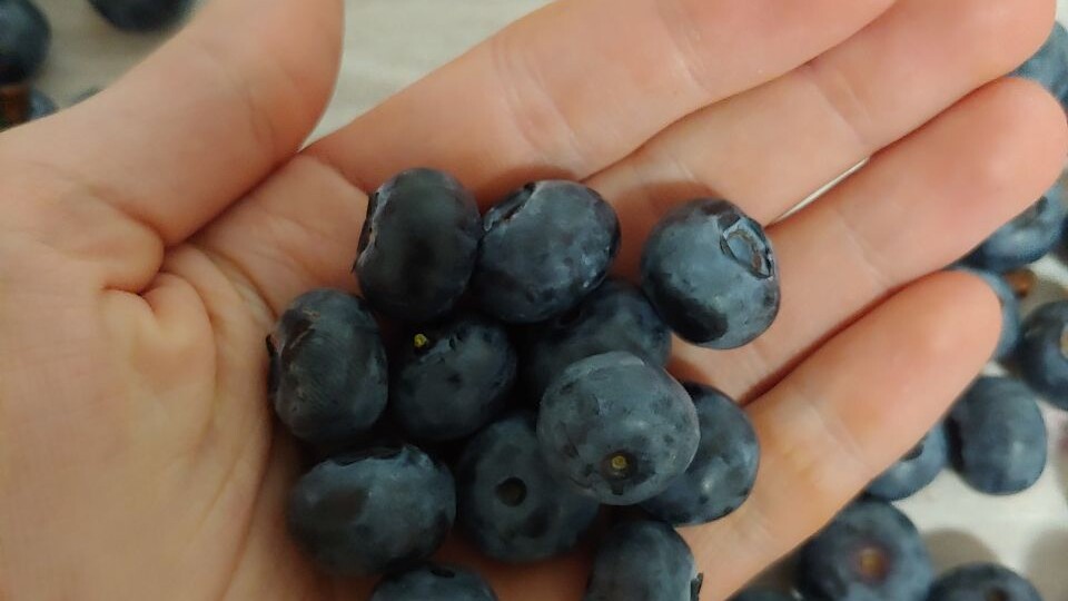 2 простых шага для восстановления печени. Ключ к решению проблемы холестерина и атеросклероза