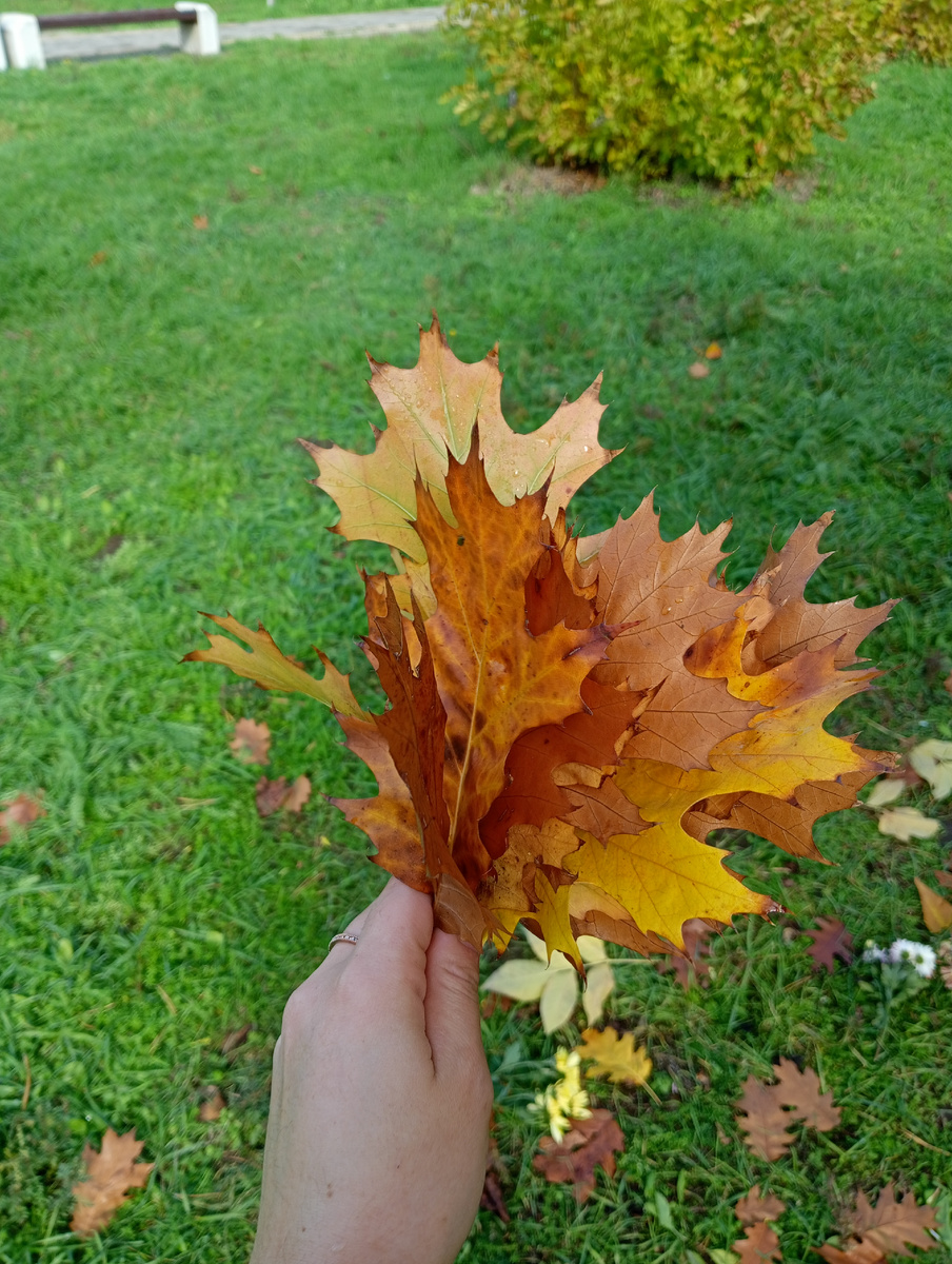 Фото автора, осень 2025