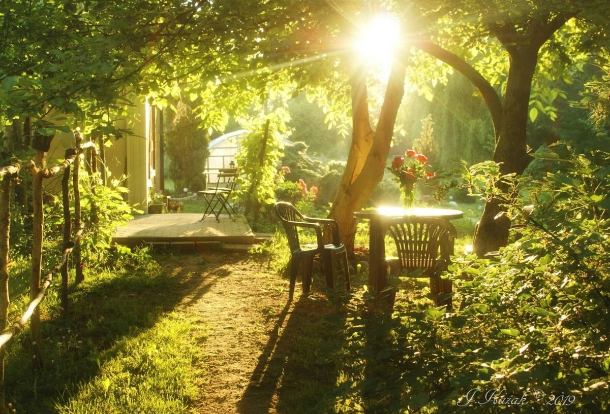 Сценарий А. ссылка на фото. https://clck.ru/3QBG4Y