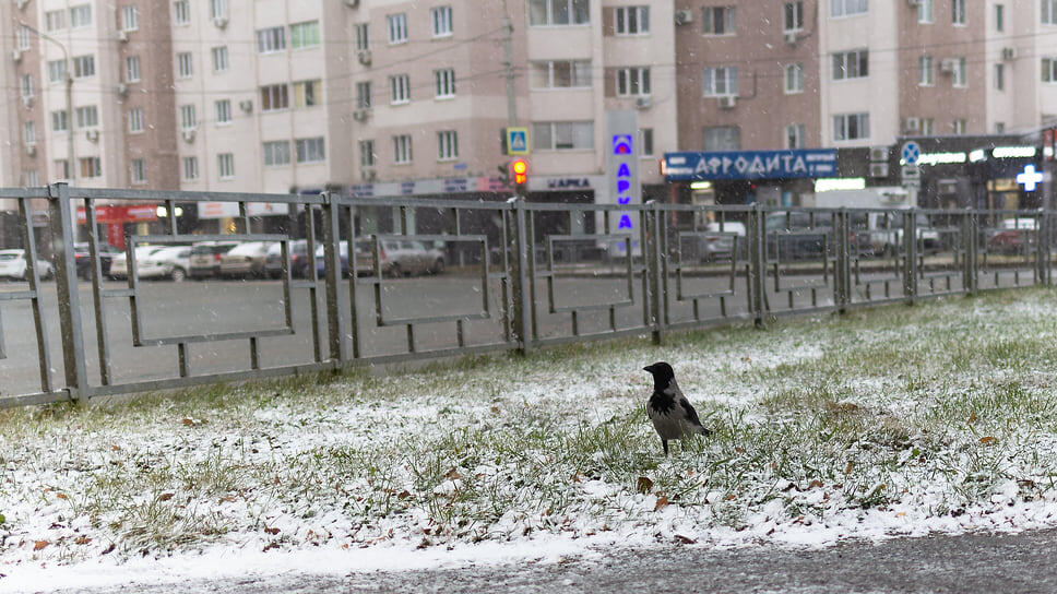Первый снег в Уфе.📷Фото: Идэль Гумеров