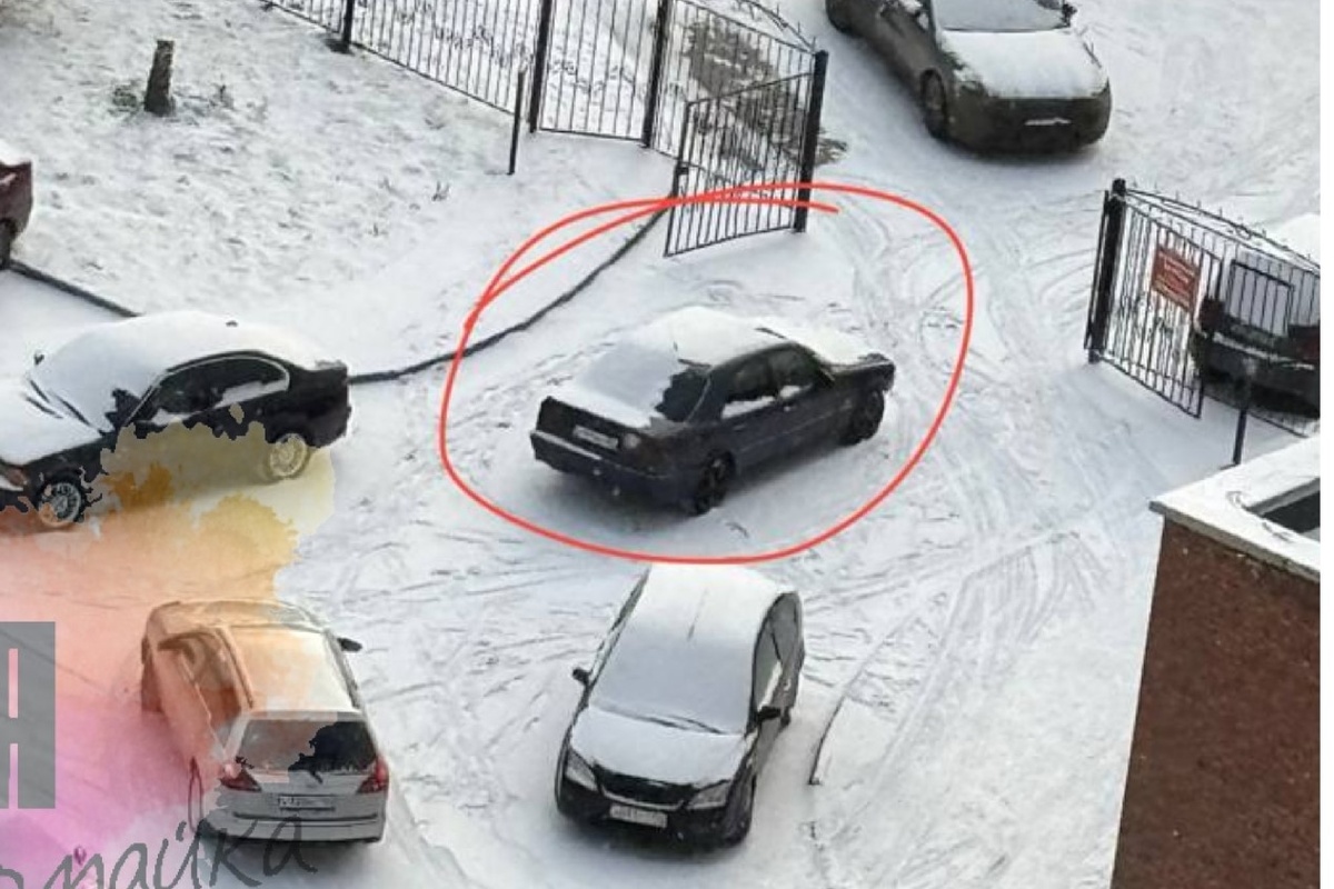    Фото: Моя Первомайка \ ВКонтакте