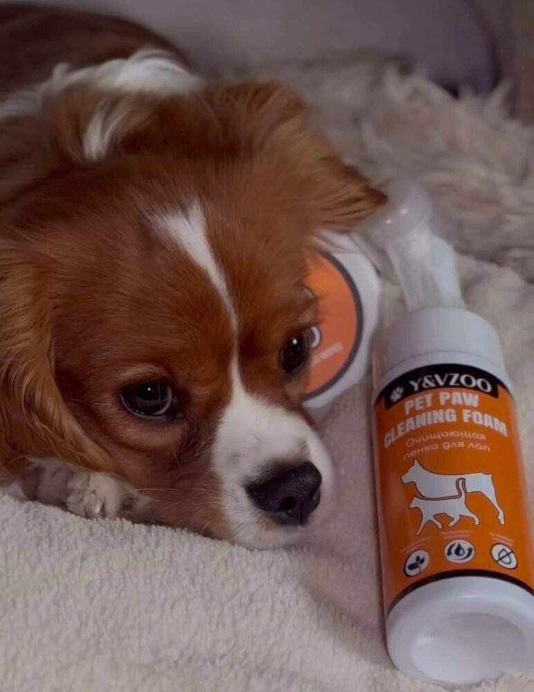 Чистый и задумчивый клиент)