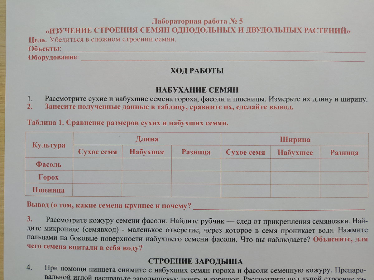 Верхняя часть работы