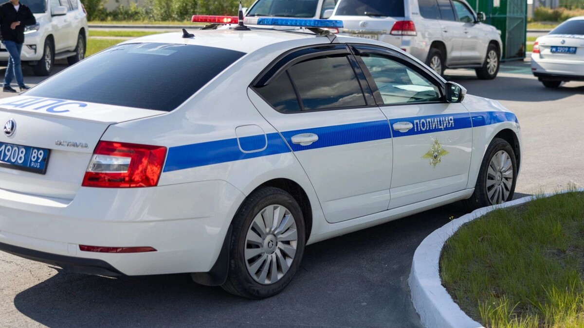    Фото: Федор Воронов/«Ямал-Медиа»