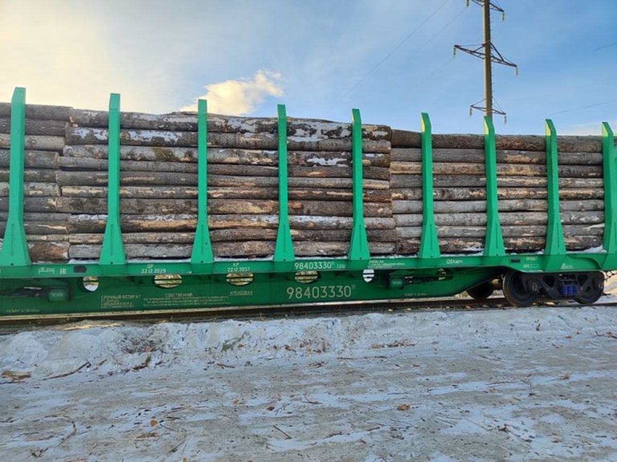 Фото: пресс-служба Уральского межрегионального управления Россельхознадзора  📷
