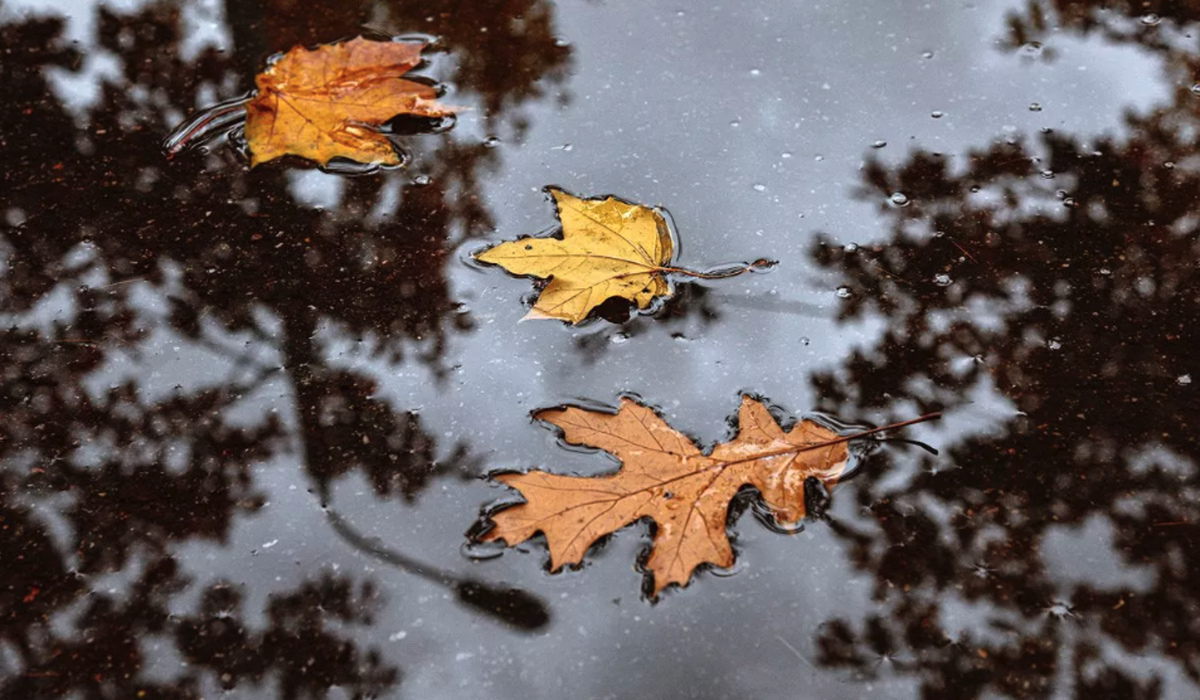    Фото: Евгений Самарин / Mos.ru