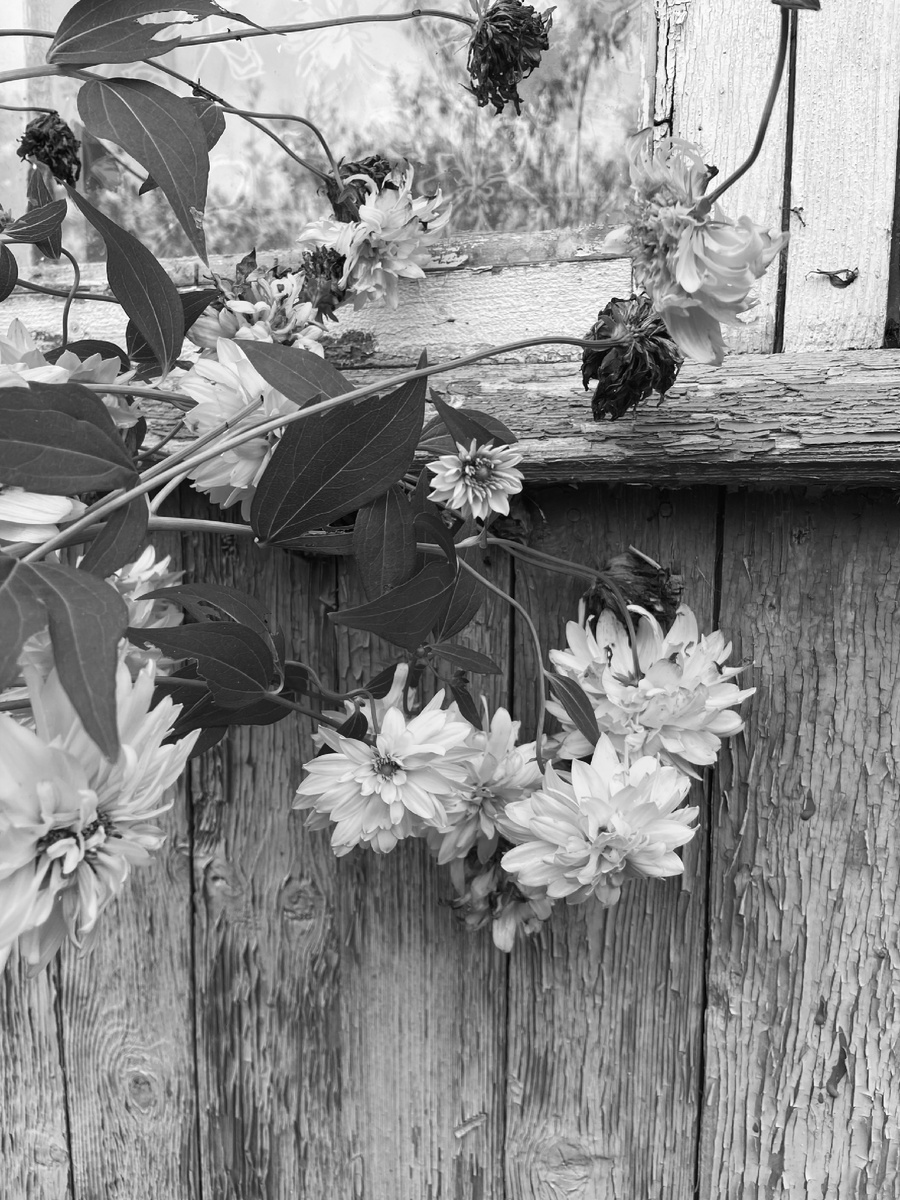 1. Встаете с утра и уже чувствуете усталость
2. Частые ссоры на ровном месте среди проживающих
3. Часто теряются вещи
4. Болеют домочадцы и домашние животные 
5. Происходят поломки- замыкает электричество, происходят потопы, возгорания. 

На днях ко мне приходила на диагностику негатива клиентка, у которой часто случались ссоры с мужем и постоянно происходили катаклизмы- сначала соседи затопили, затем варочная панель сломалась, хотя была новой, а в итоге загорелось зарядное устройство в розетке и пожар еле потушили. 

В итоге диагностики я обнаружила негатив в доме, выяснила его источник и дала клиентке алгоритм избавления от негатива. После ритуала в доме заметно «потеплело», ссоры почти сошли на «нет», поломки и стихийные бедствия закончились.

Для диагностики негатива пишите в комментарии или личные сообщения «хочу диагностику дома».
