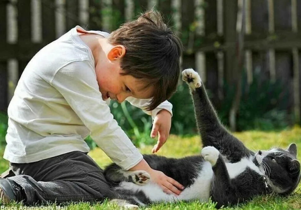 Фотография из открытых источников