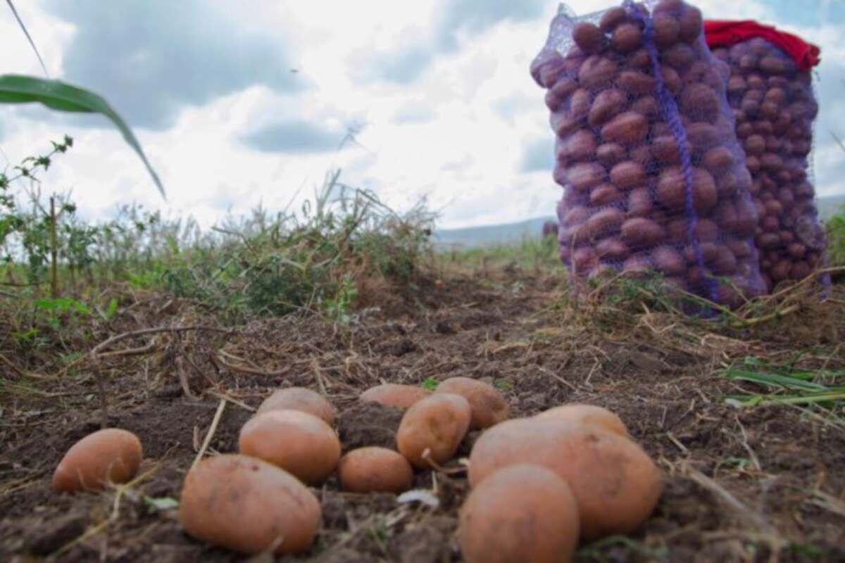    Фото: «Юла», источник: youla.ru