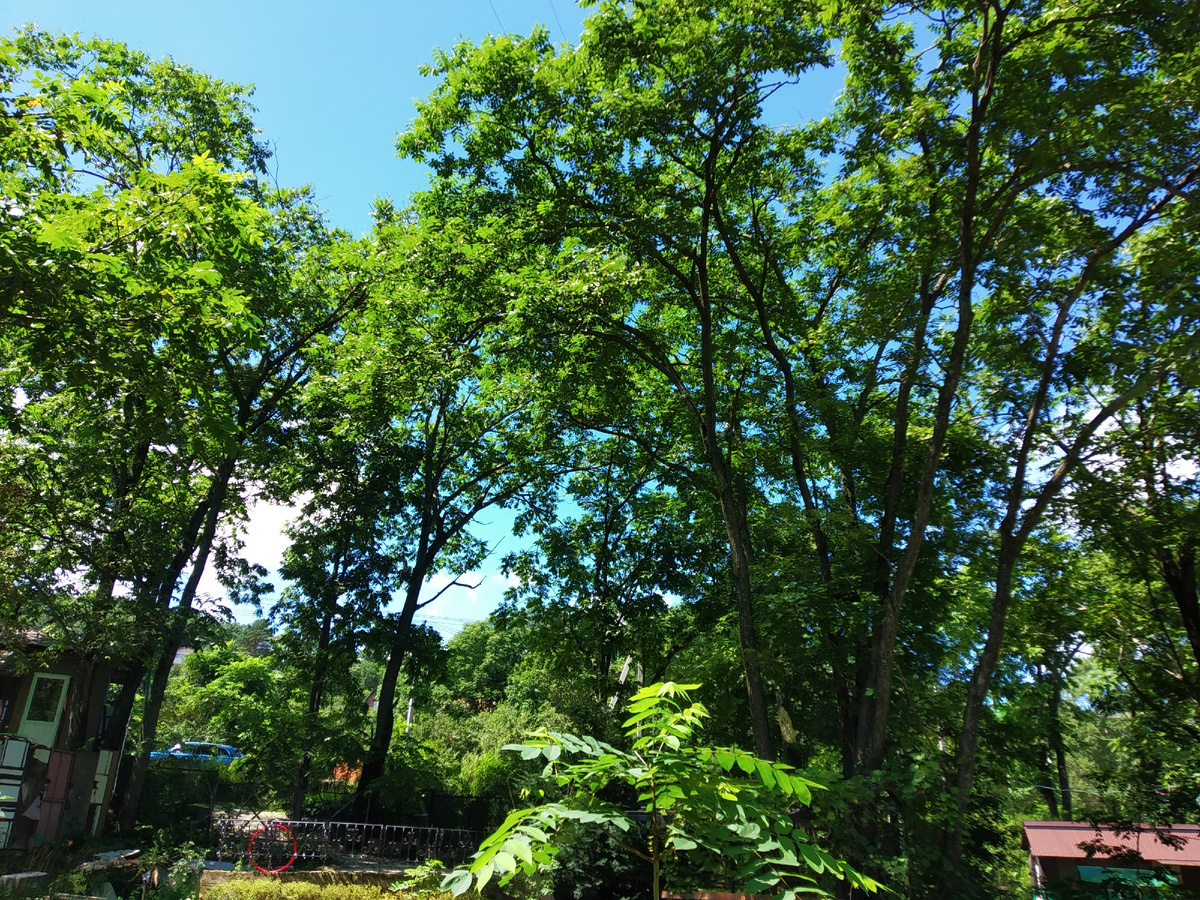 Фото из личного альбома