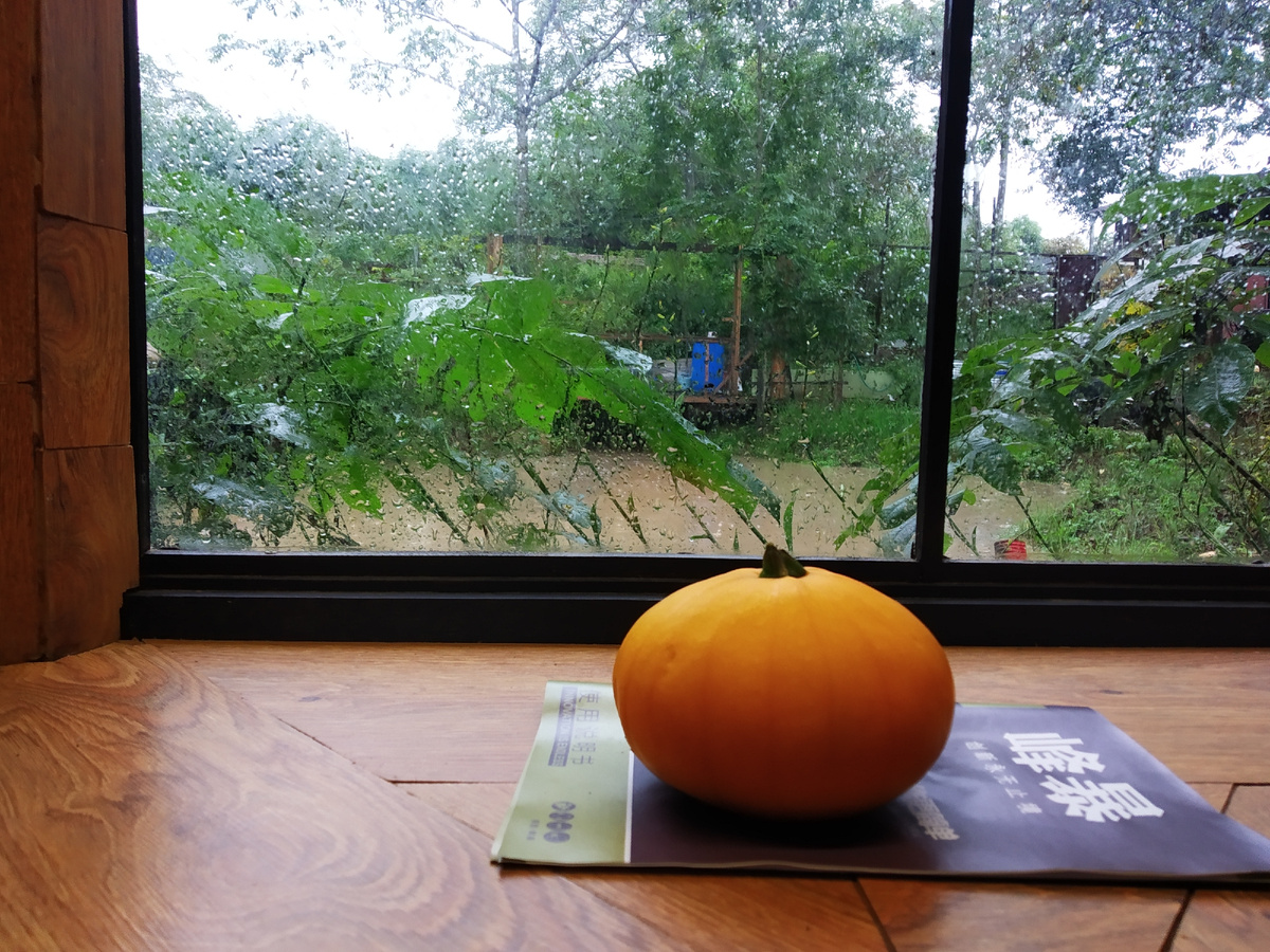 Урожай патиссонов(1штука), зато какой!