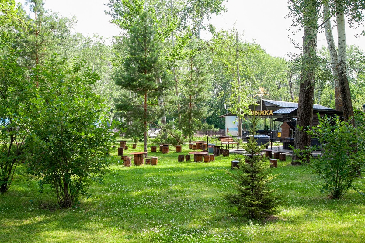 Дневное посещение