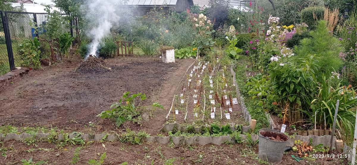 не видеть больше осенней картинки с костром