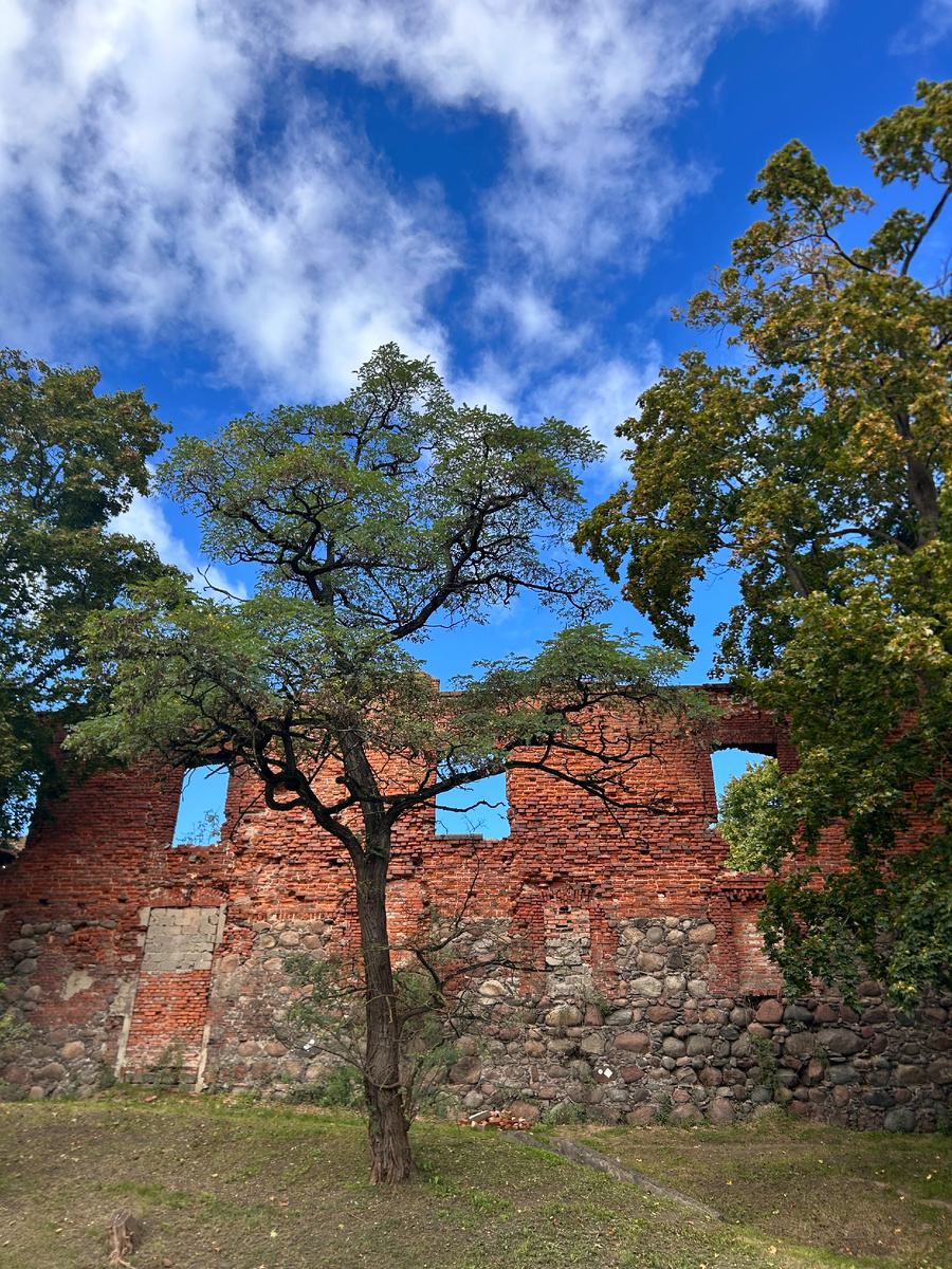 Руины замка Инстербург (фото автора)