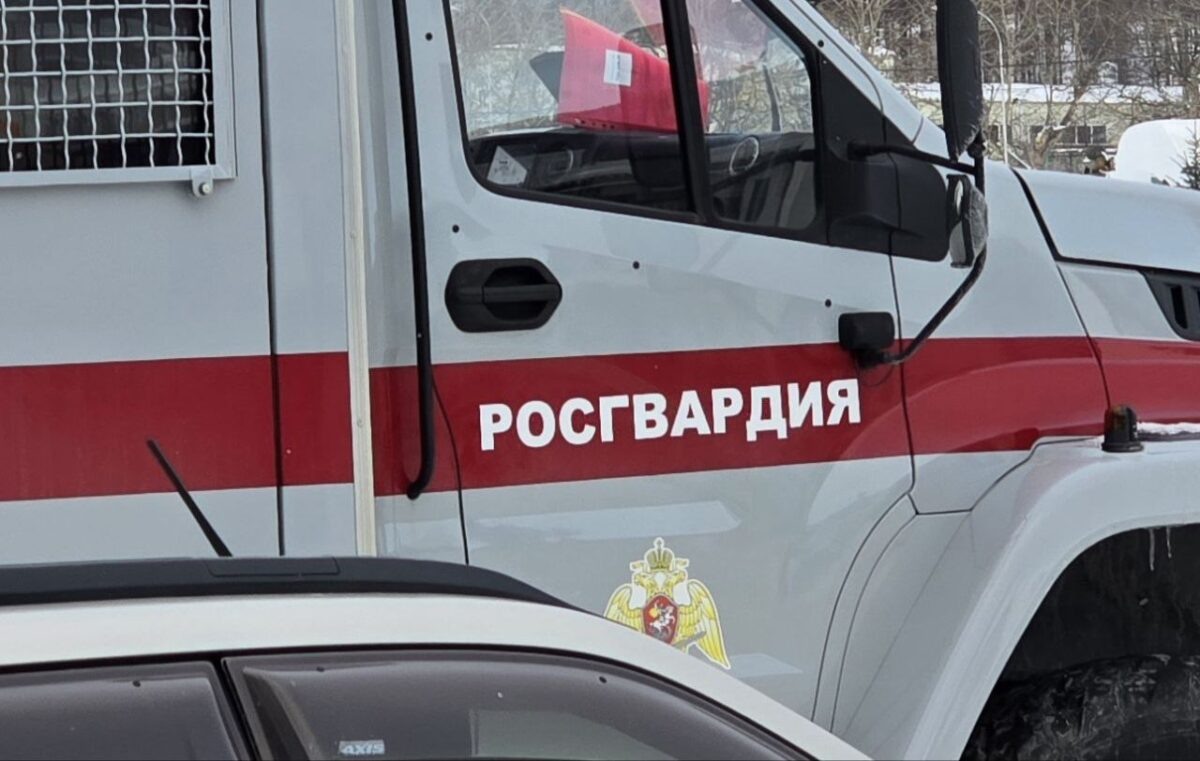    служебный автомобиль, Росгвардия Наталья Краснова