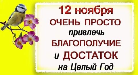 https://avatars.mds.yandex.net/i?id=08511afe5deb074540296e8db1a9d8ca4b4d7c92-8310669-images-thumbs&n=13