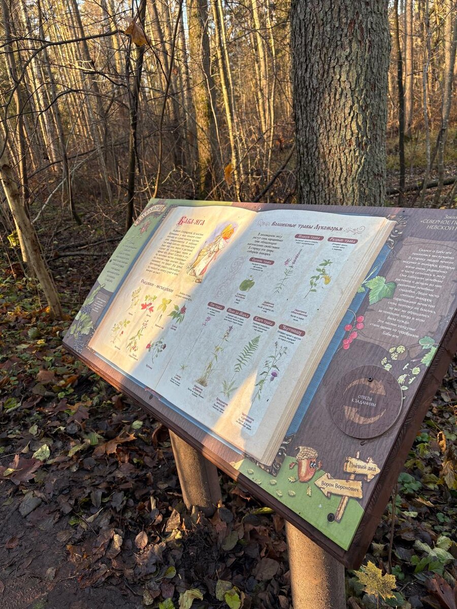 В одном задании требовалось соотнести три картинки с тремя растениями: Рогоз, камыш и тростник. Ответили, вроде даже правильно. Затем пошли на Бугаиную тропу. Со всех сторон обступало растение и мы весь путь спорили: тростник это или рогоз) Я выиграла. Правильный ответ "Тростник".