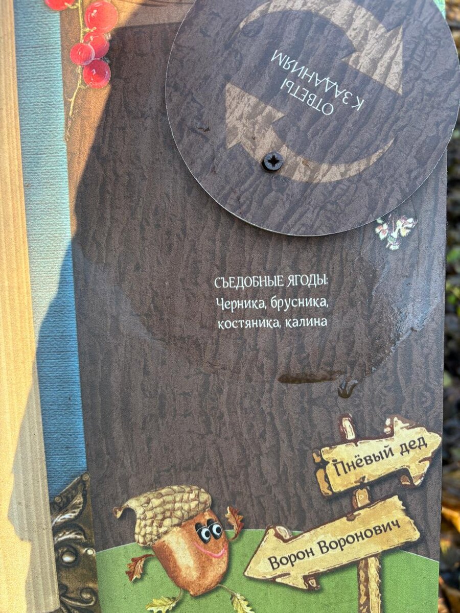 На тропе встретила Илью Воскресенского с семьей. Неожиданно встретить в простом месте известного блогера По возвращении домой, конечно же, включили его видео https://vk.com/elivosk. Помимо путешествий по городам и странам у него есть выпуск про стоящие места в Лен. области - советую к просмотру.