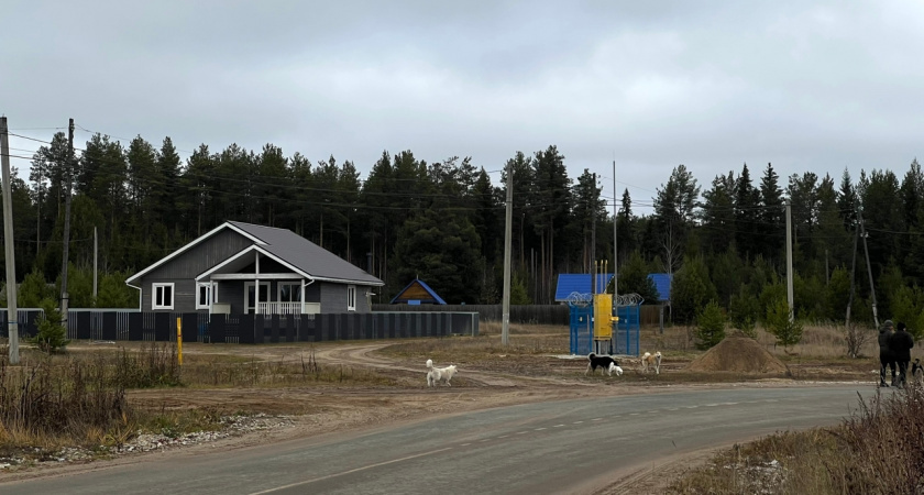    Заветный газ добрался до глубинки Коми