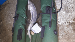    @opskuban Юлия Виноградова