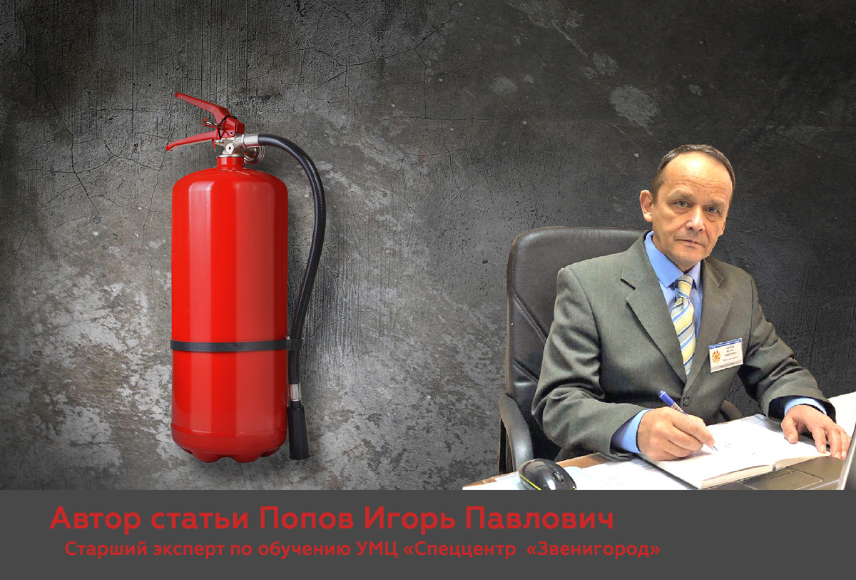 Автор статьи Попов И.П.