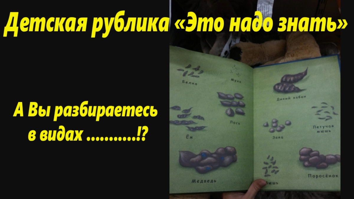 Нужная информация!