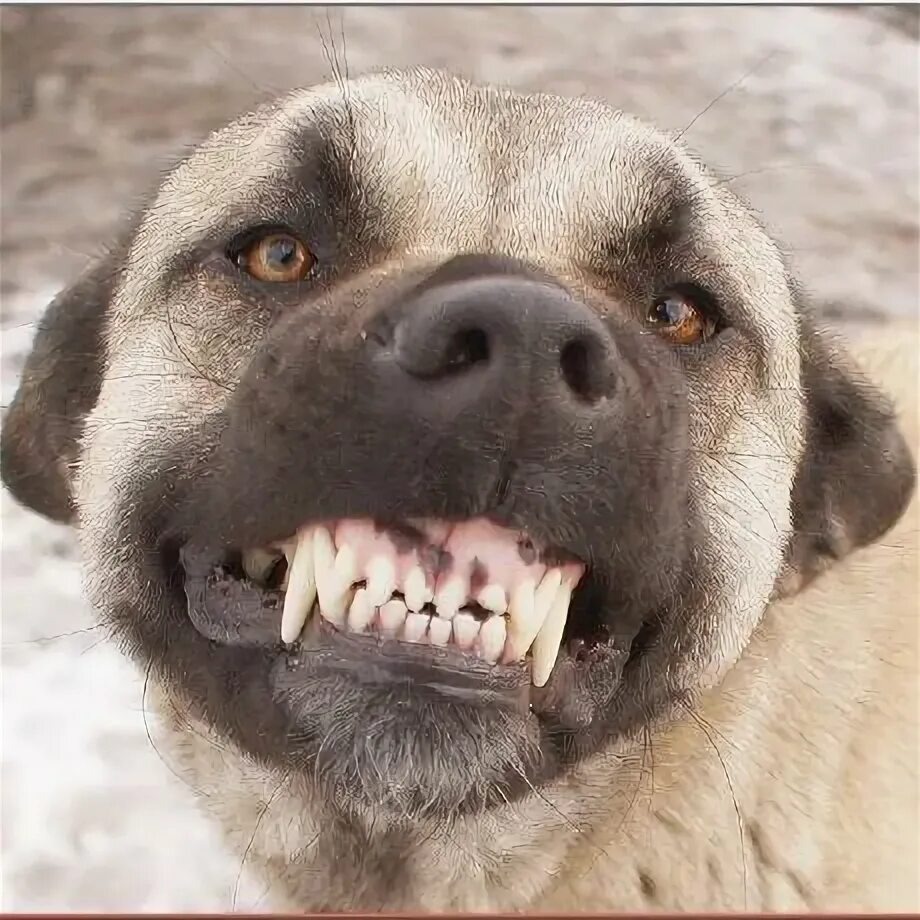 Фотография из интеренета