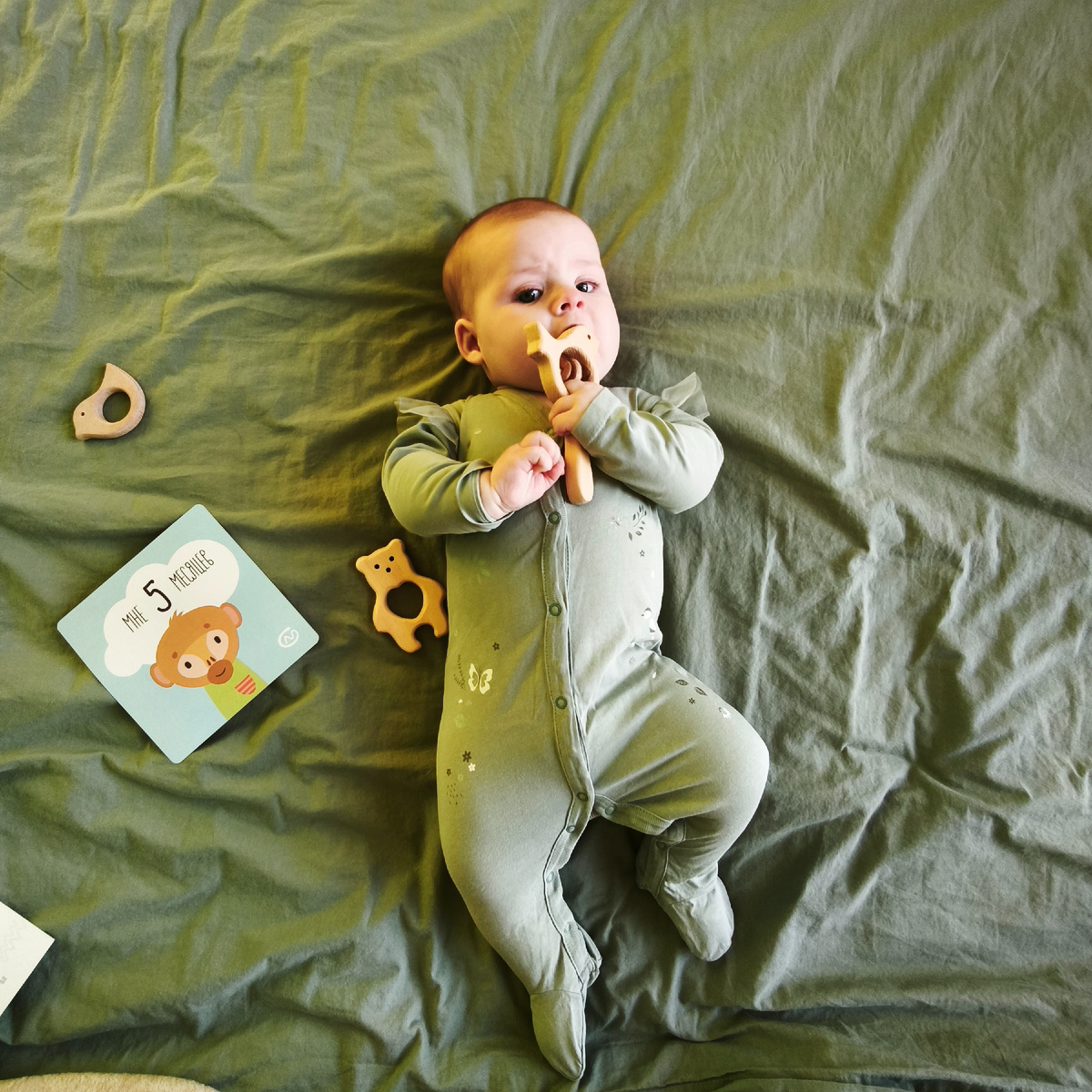 Верушка растёт и изучает мир