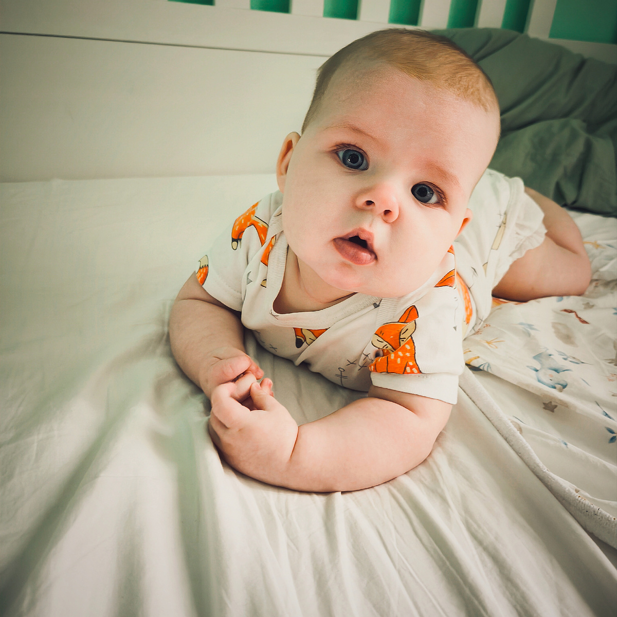 С большим интересом всегда разглядывает телефон, когда я её фотографирую