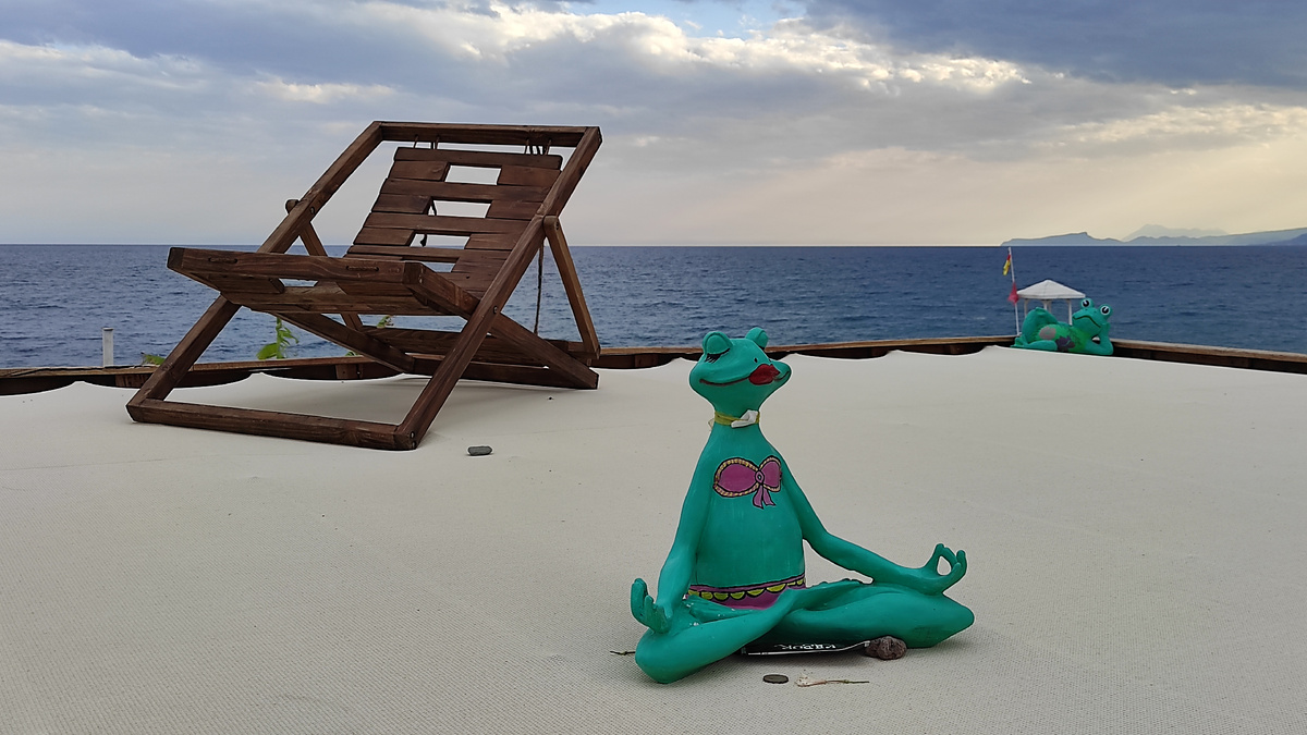 Пляжные лягушки показывают, как нужно относиться к отдыху. Фото: Кирилл Полиенко/Polienko: путешествуем вдвоём