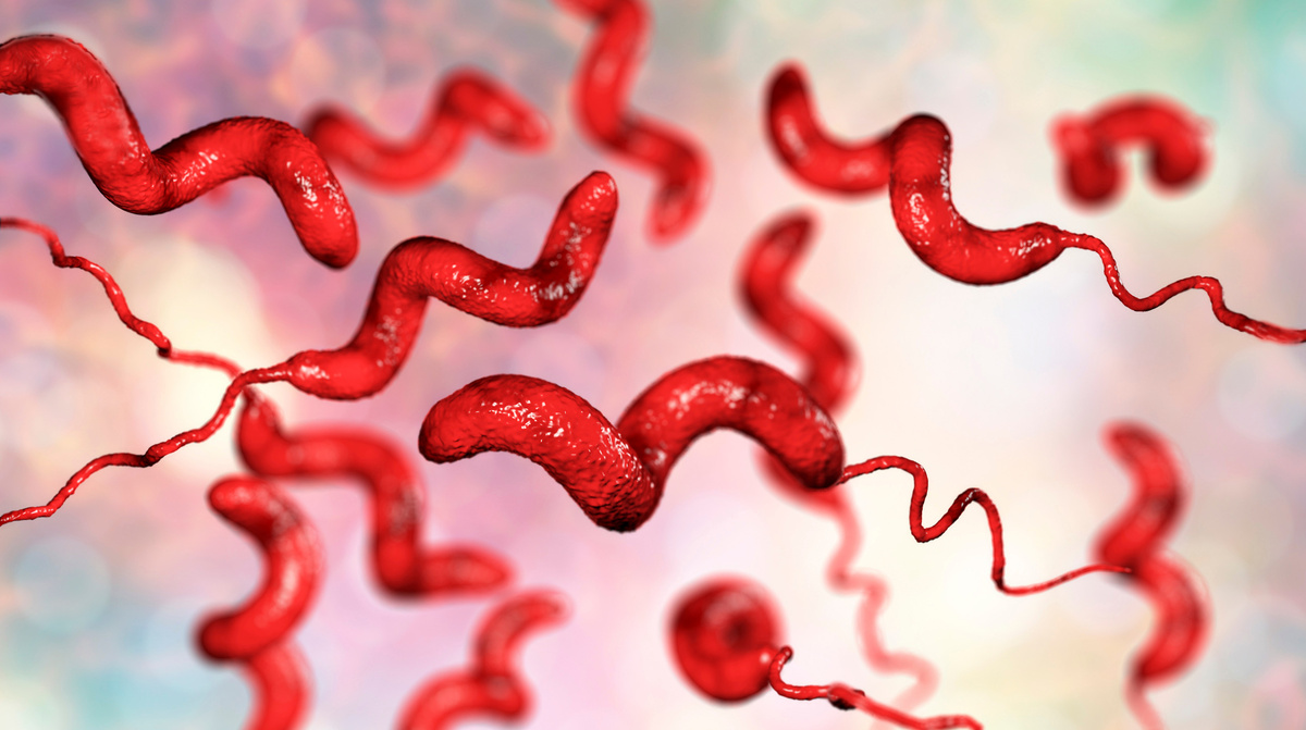     Фото: Kateryna Kon/Shutterstock/FOTODOM После мытья бактерии, которые были бы надежно уничтожены в кастрюле с кипятком, попадают на кухонные поверхности, где могут выживать часами