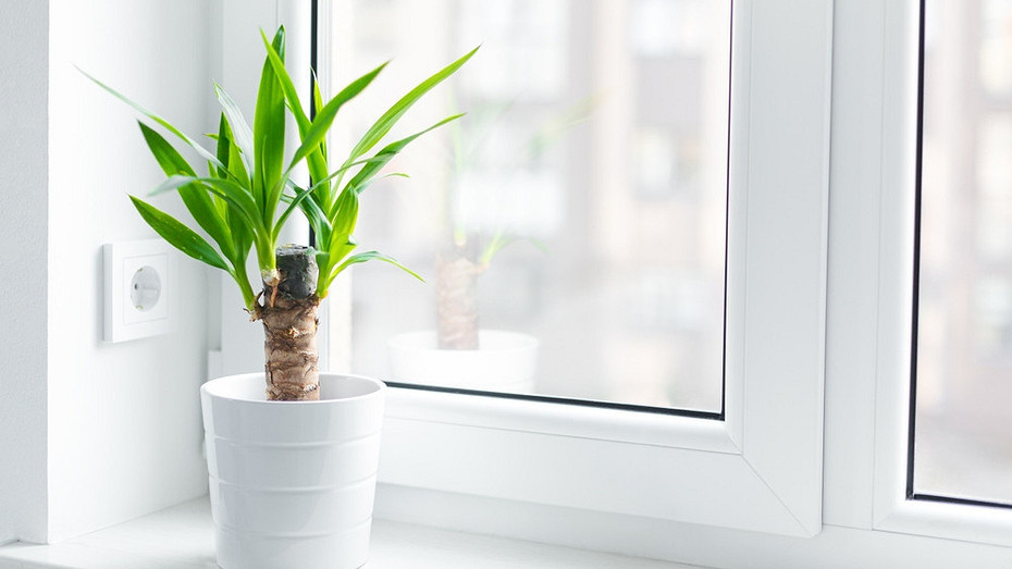 Фото здесь и далее ShutterStock/Fotodom.ru