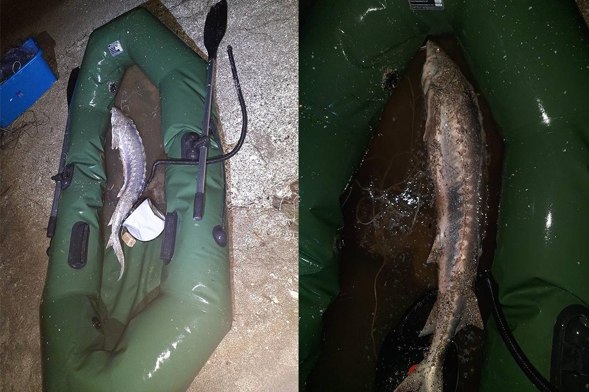    Фото ПУ ФСБ России по Краснодарскому краю