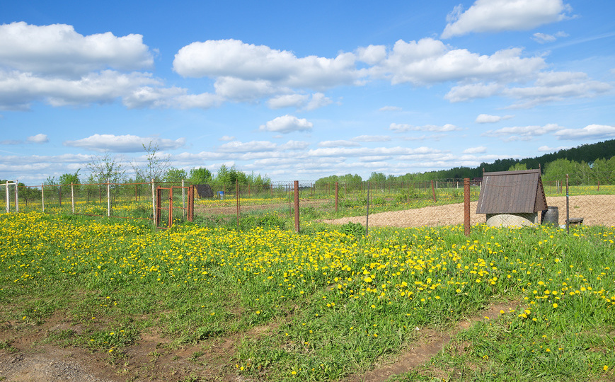 7 шагов к оформлению права собственности на земельный участок: полный гид для дачников