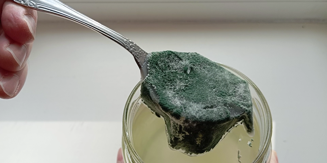 Триходерма из закваски, два года спустя.