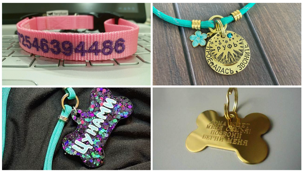 Надёжные адресники, которые стоит купить для своих питомцев