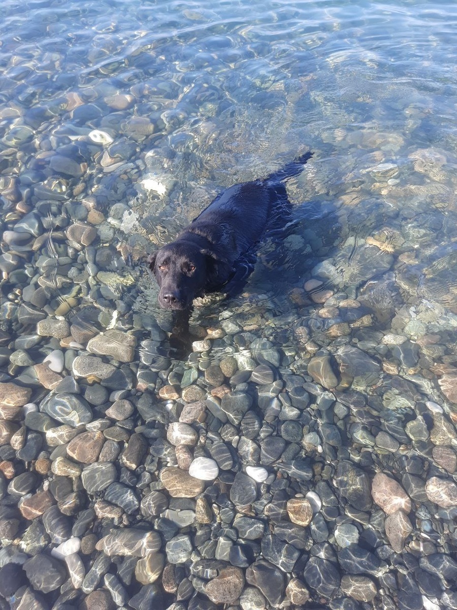 Шива уже выбрала себе людей, которые должны помочь ей выбраться из Абхазии