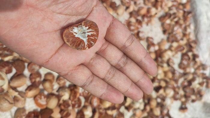 Обложка © Shutterstock / FOTODOM / Munif Rifa'i