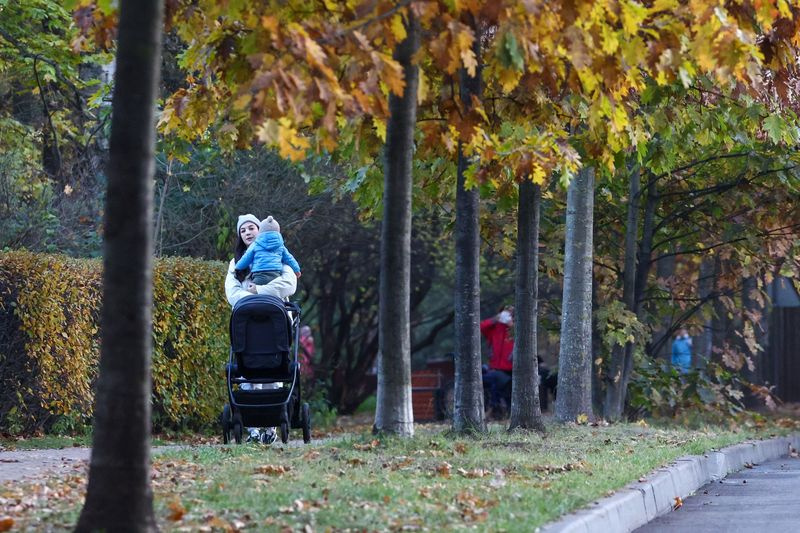    Наталья Шатохина/NEWS.ru