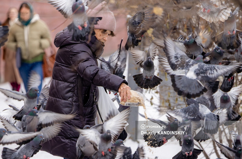    Фото: Дмитрий Кандинский / vtomske.ru