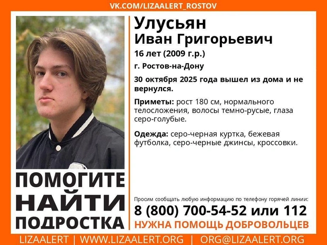 Фото: «ЛизаАлерт» Ростовской области