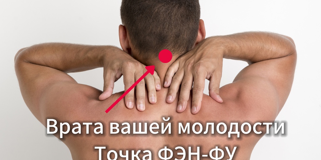 Точка Конфуция: ваш «секрет молодости и ясного ума» на затылке