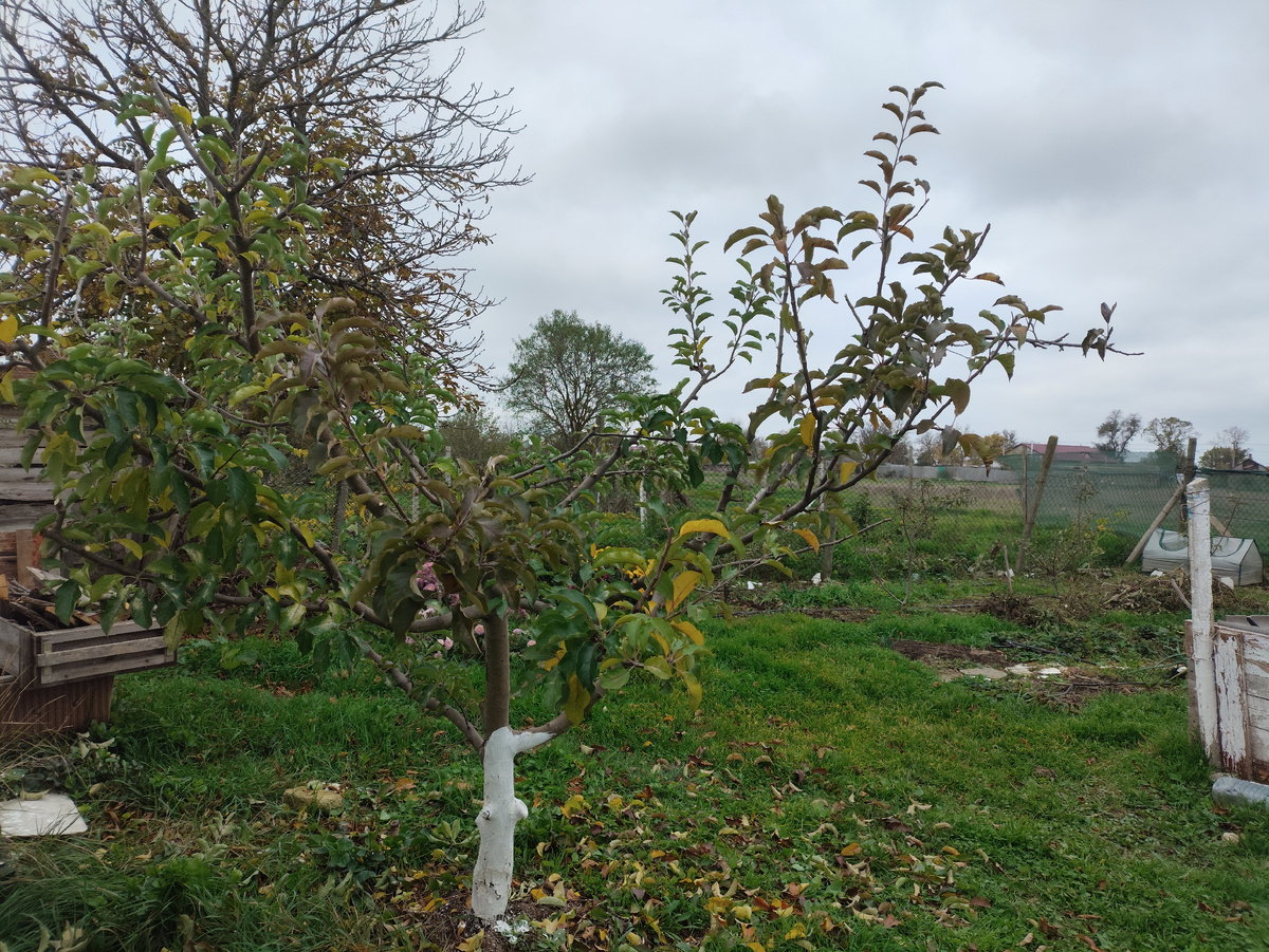 Вот. Не, так не видно....