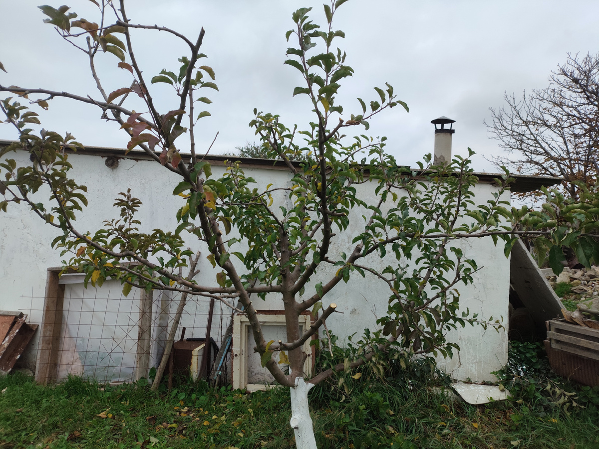 Вот так нагляднее.