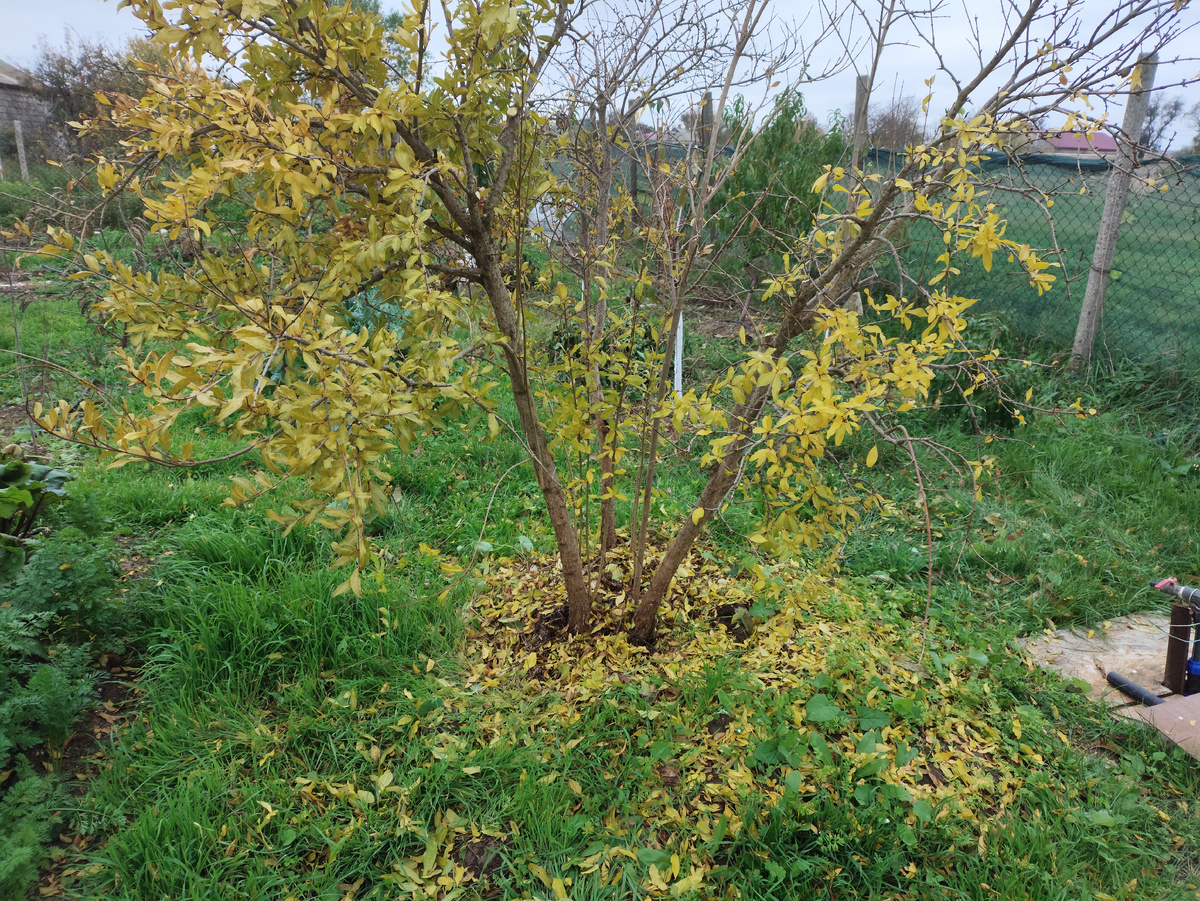 Теперь свободно и красиво